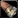 Inv mace 11.png
