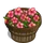 Pink Hibiscus Bushel-icon