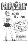 Cover 25