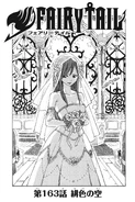 Cover 163