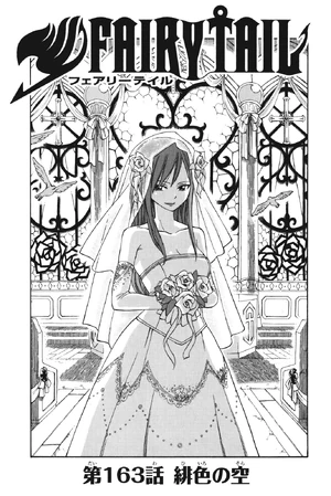 Cover 163