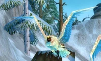 Image of Stormpike Owl