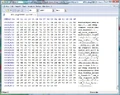 BL SaveFile Hex2.jpg