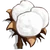 Cotton-icon.png