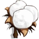 Cotton-icon.png