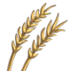 Wheat-icon.png