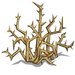 Thorns-icon.png