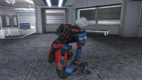 Capture the Flag (Reach glitch)
