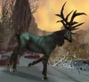 Blighted Elk
