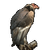 Item Condor 01