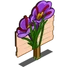 Saffron