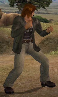 DOAUEin_cos06.jpg