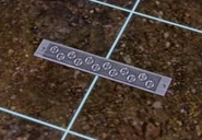 Floor Hygiene