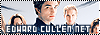 Edwardcullennetbutton