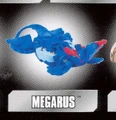 Megarus aquosx