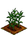 Corn green.png