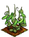 Peas fruit.png