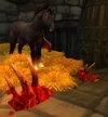 Fel Steed