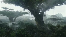 Hometree