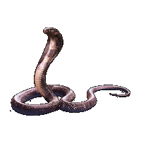 Huge item KingCobra 01.gif