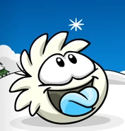 Whitepufflesnowflake