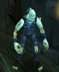 Image of Duncan Fallers