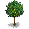Pear Tree Fruit-icon.png