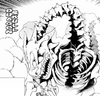 Dragon skull