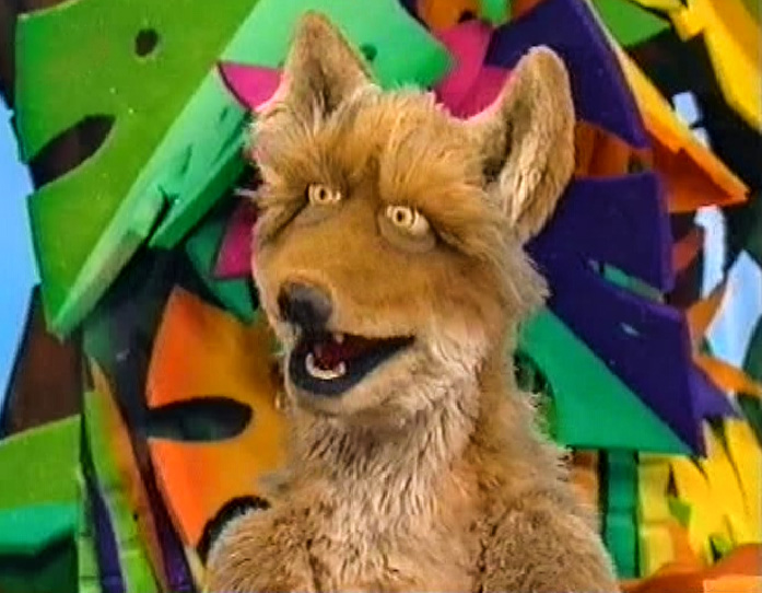 Animal Show coyote