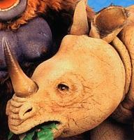 Rhinoceros