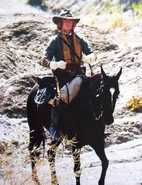 Jasper a cavallo