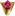 Goron's Ruby