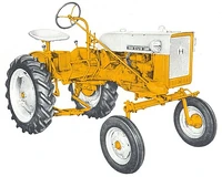 International Cub