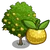 Asian Pear Tree-icon