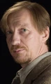 Remus Lupin profile.jpg