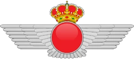 800px-Rokiski svg