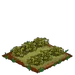 Wasabi withered
