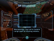 Echoes Scan