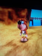 Banjo BB One