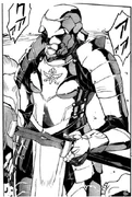 Cc armor