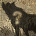 Mystery Animal