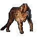 Item kingcheetah 01.gif