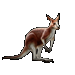 Item kangaroo 01.gif