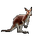 Item kangaroo 01