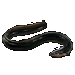 Item electriceel 01.gif