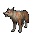 Item dingo 01.gif