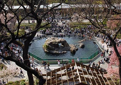 Zoo-l