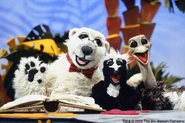 Episode 103: Koala & Ostrich