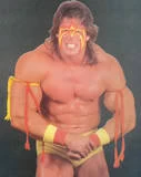 Ultimate Warrior4