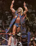 Ultimate Warrior8
